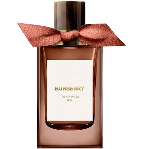 burberry nam nước hoa|hoa burberry luxity.